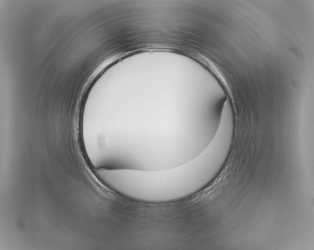 X0000115551195200912041026