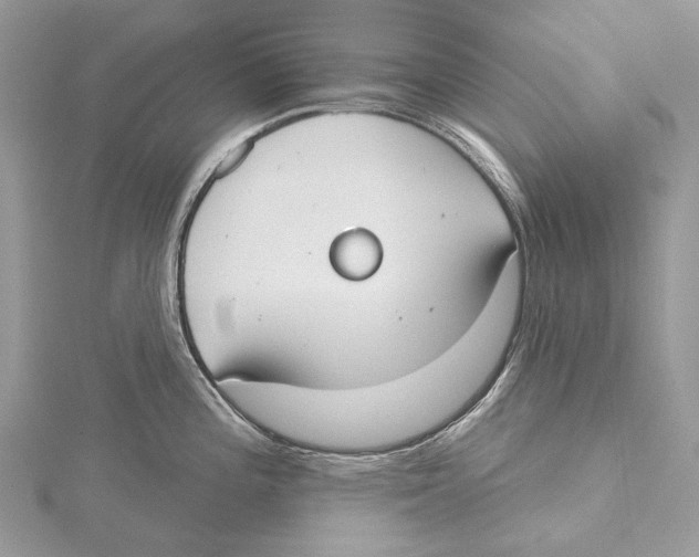 X0000115551196200912041026