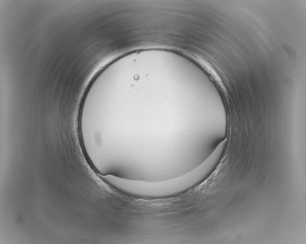 X0000115551197200912041026