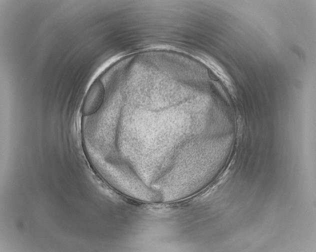 X0000115551198200912041026