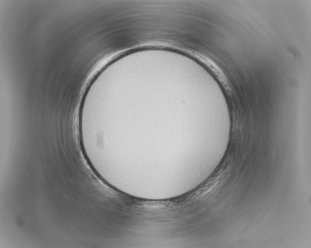 X0000115551199200912041026