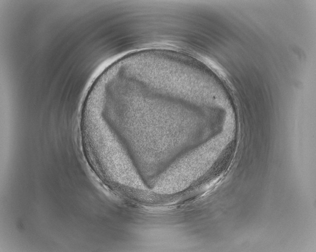 X0000115551200200912041026