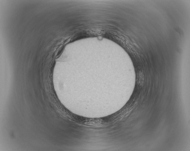 X0000115551201200912041025