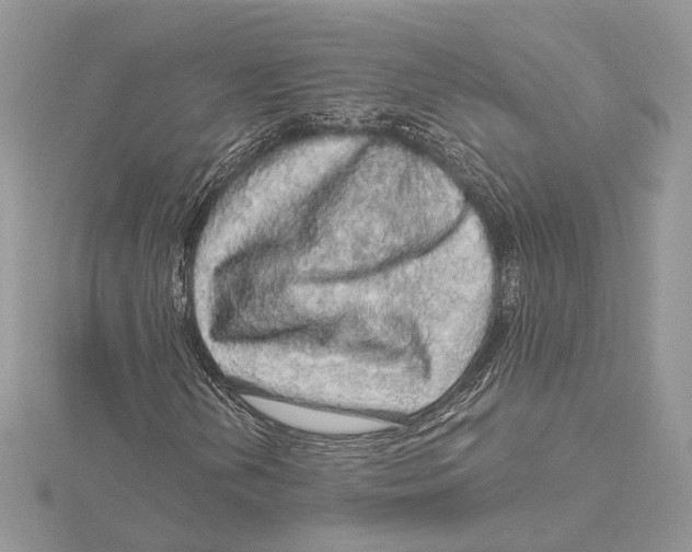 X0000115551202200912041025