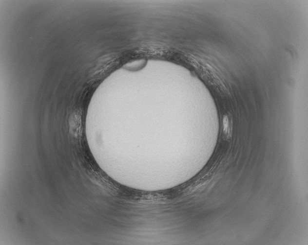 X0000115551203200912041025