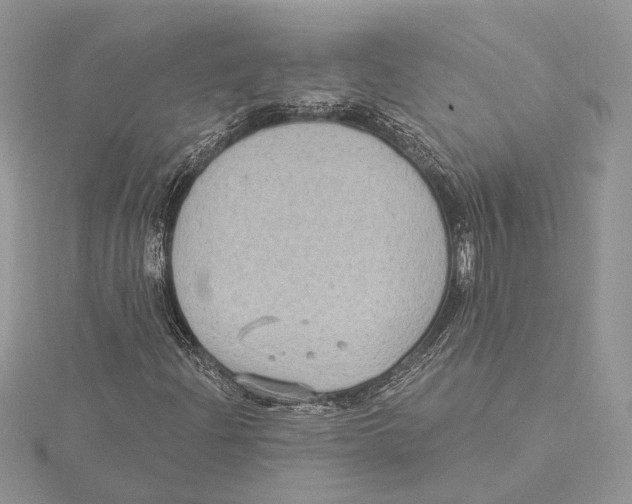 X0000115551204200912041025