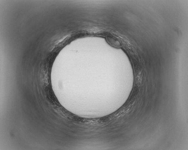 X0000115551205200912041025