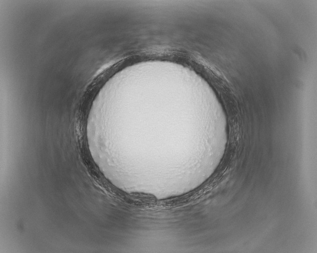 X0000115551206200912041025