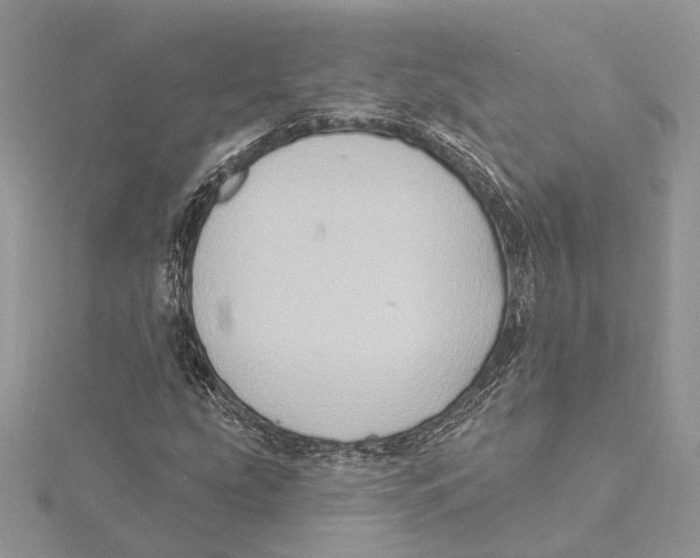 X0000115551207200912041025