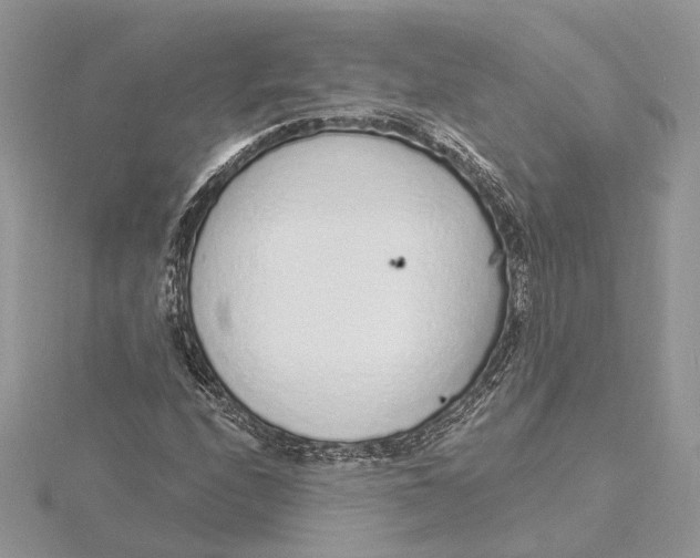 X0000115551208200912041025