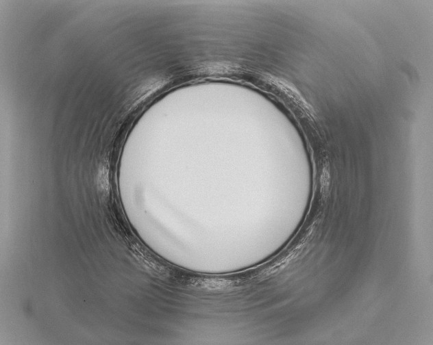 X0000115551209200912041025