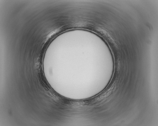 X0000115551210200912041025