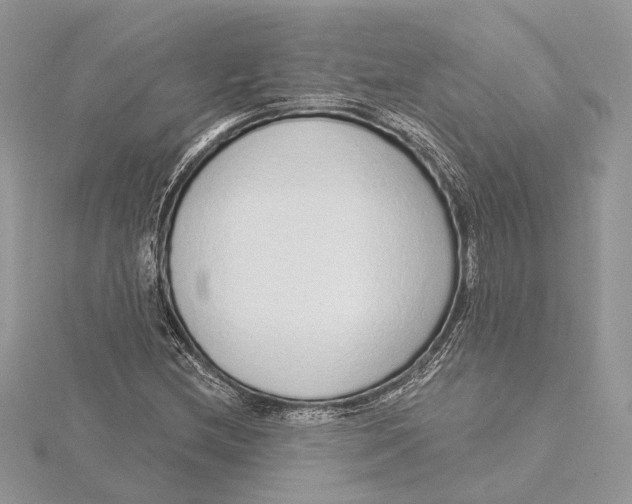 X0000115551212200912041025