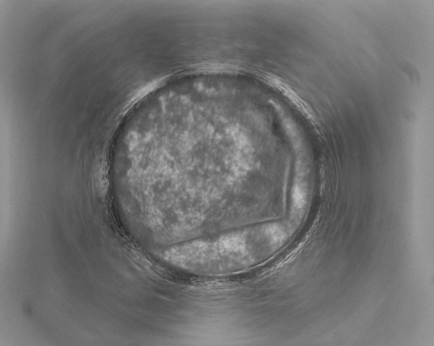 X0000115551213200912041025