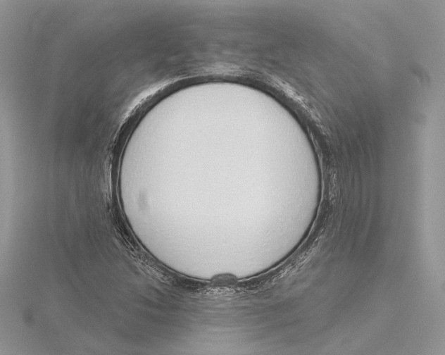 X0000115551214200912041025