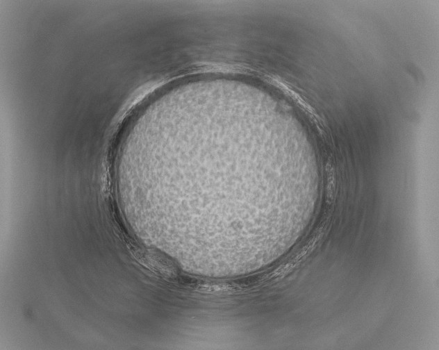 X0000115551215200912041025