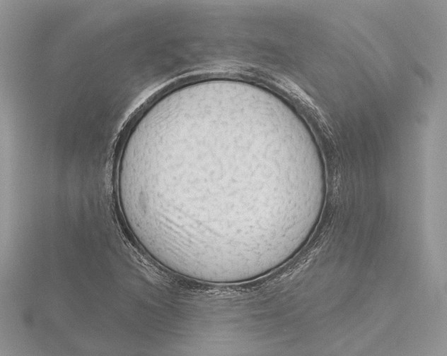 X0000115551216200912041025