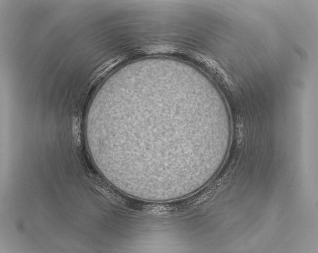 X0000115551217200912041025