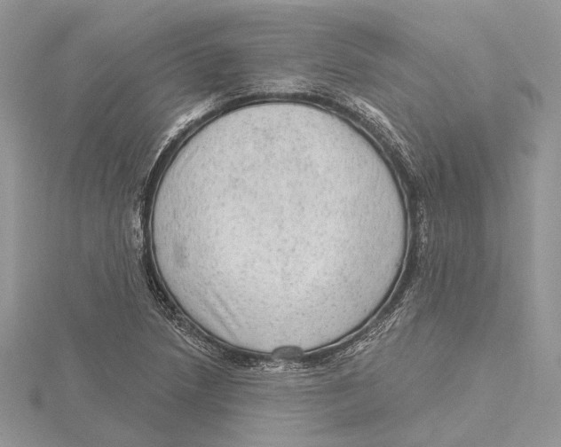 X0000115551218200912041025