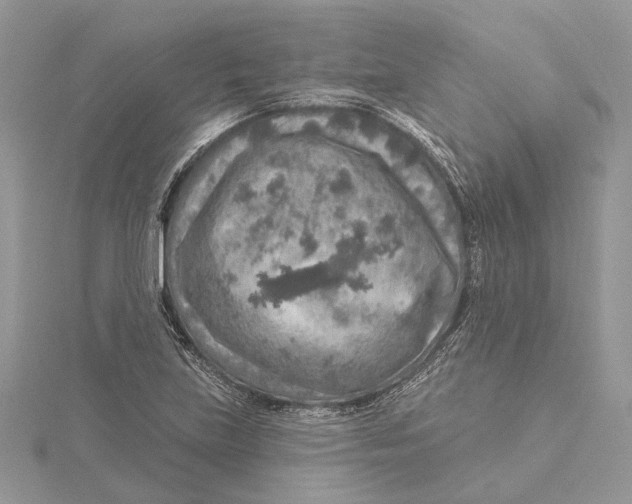 X0000115551219200912041025