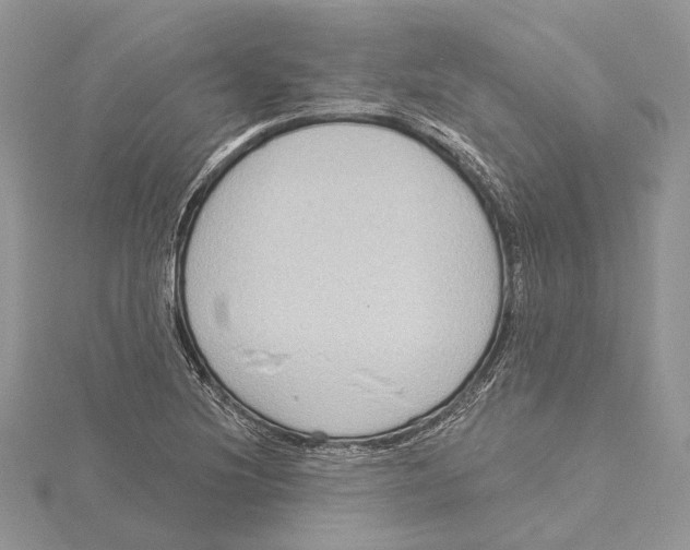 X0000115551220200912041025