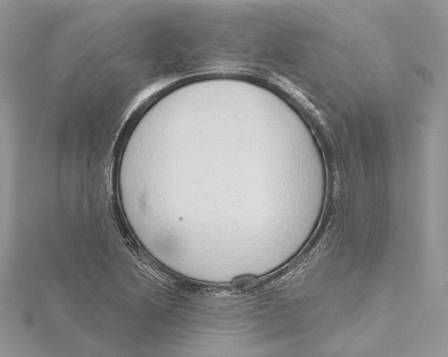 X0000115551222200912041025