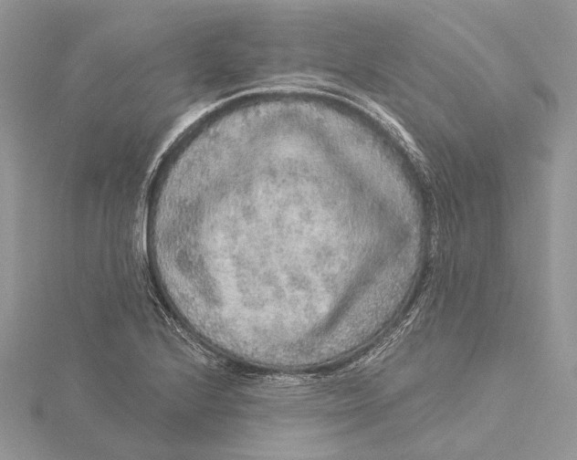 X0000115551224200912041025