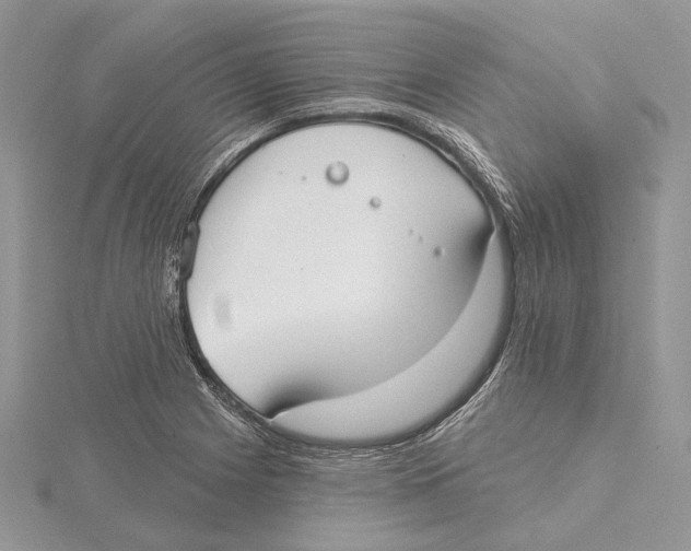 X0000115551225200912041025