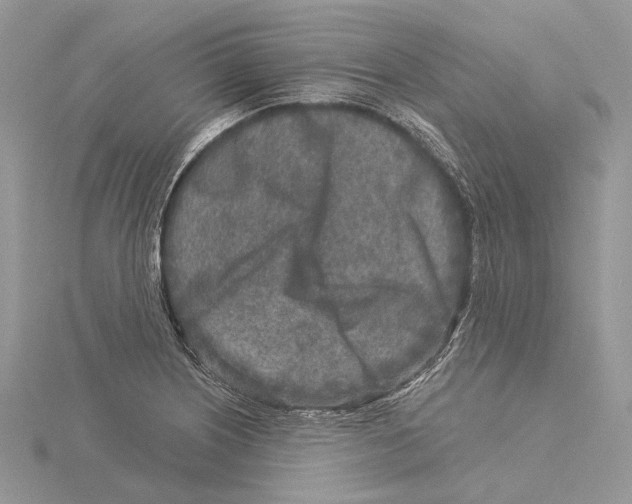 X0000115551226200912041025