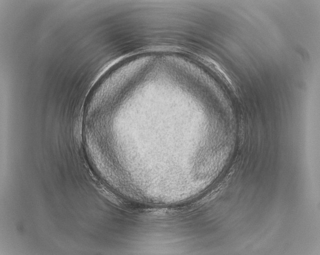 X0000115551228200912041025