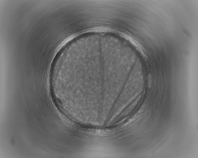 X0000115551229200912041025