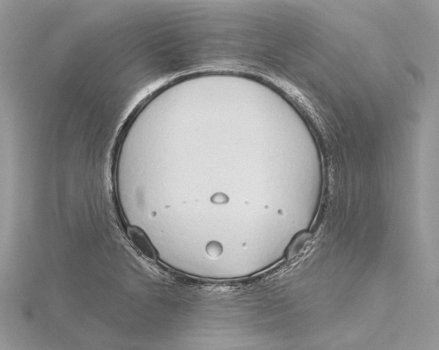 X0000115551230200912041025