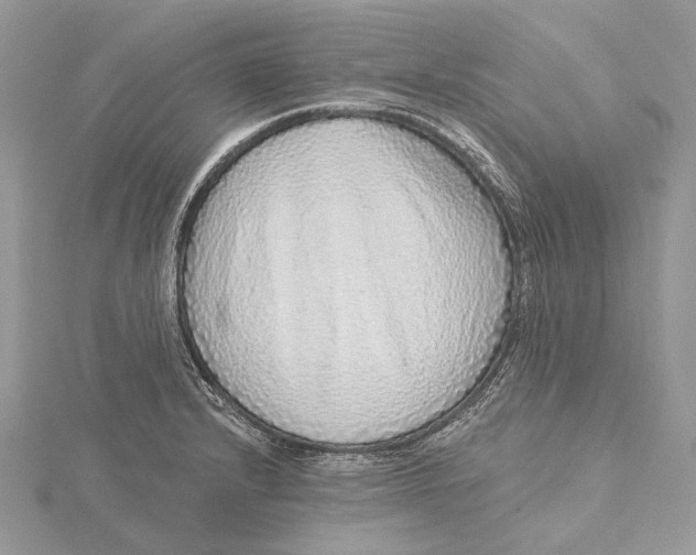 X0000115551232200912041025