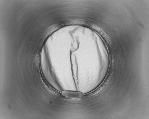 X0000115551233200912041025