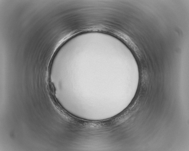 X0000115551234200912041025