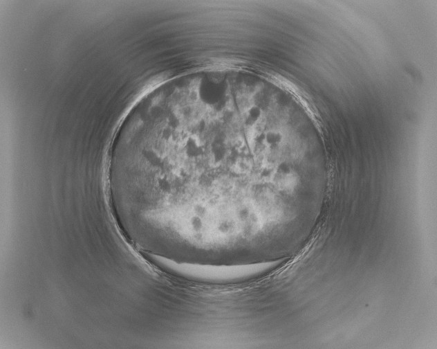 X0000115551235200912041025