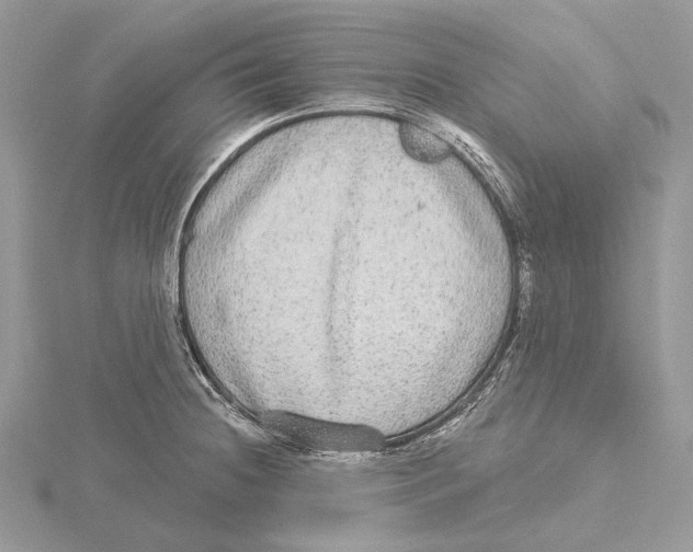 X0000115551236200912041025