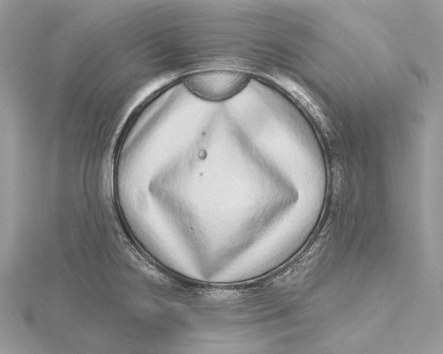 X0000115551238200912041026