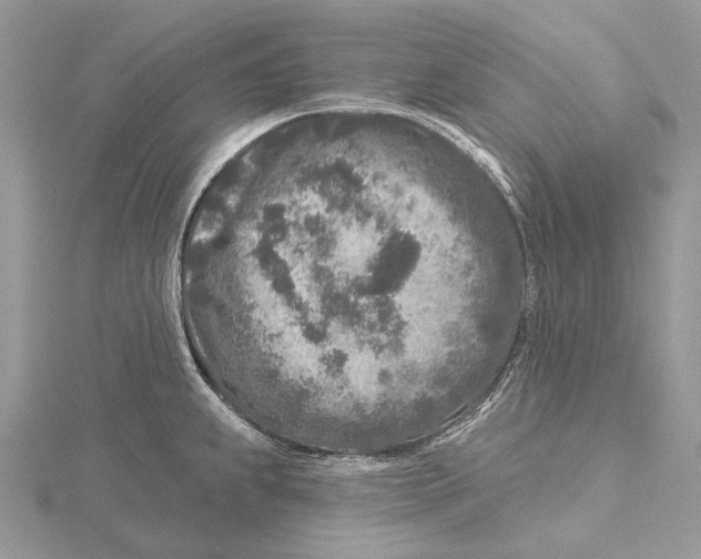 X0000115551239200912041026