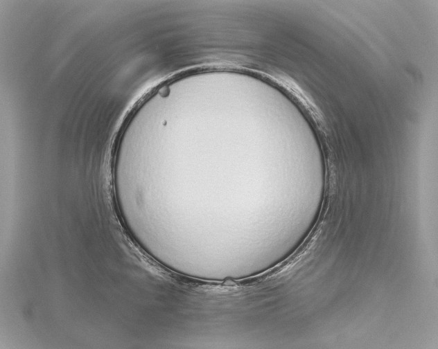 X0000115551240200912041026