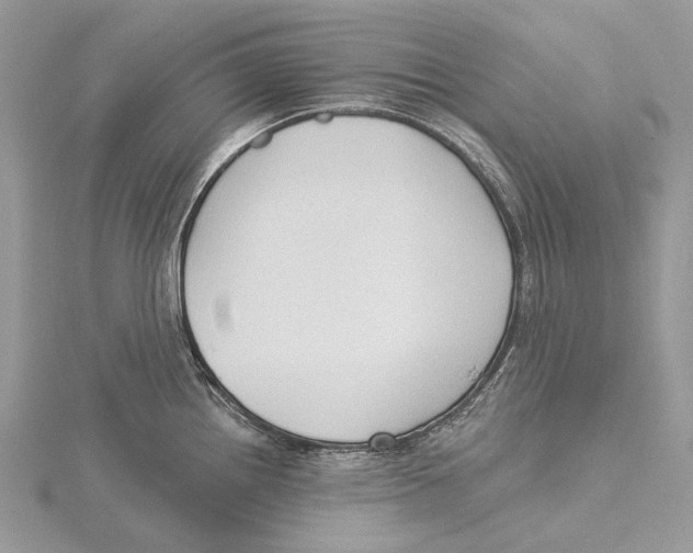 X0000115551242200912041026