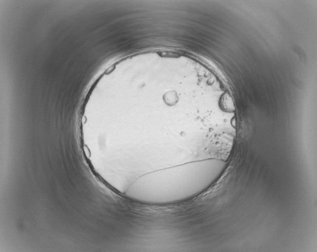 X0000115551243200912041026