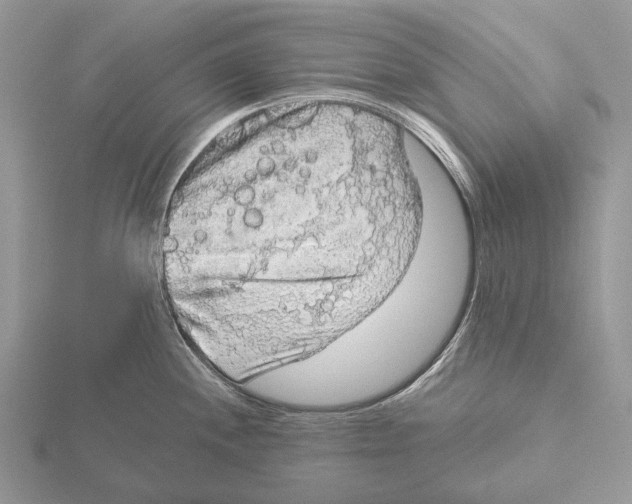 X0000115551244200912041026