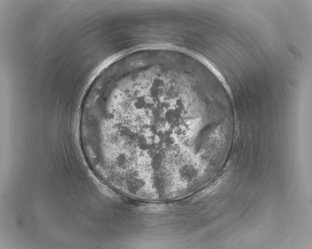 X0000115551245200912041026