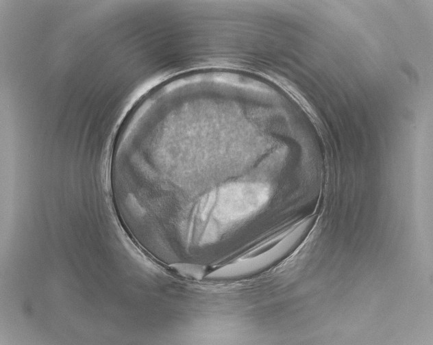 X0000115551246200912041026