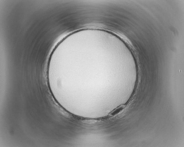 X0000115551248200912041026