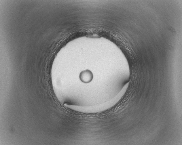 X0000115551249200912041025