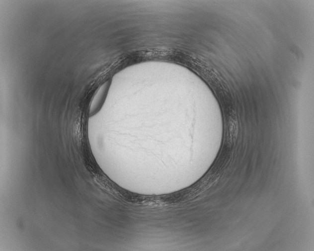 X0000115551250200912041025