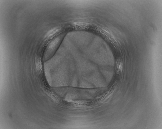 X0000115551252200912041025