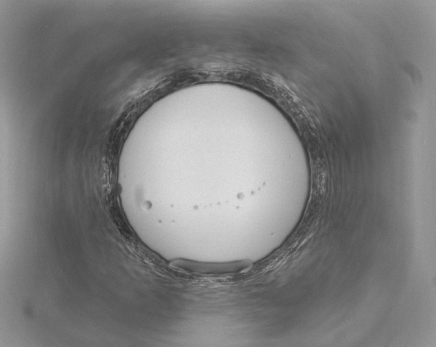 X0000115551253200912041025